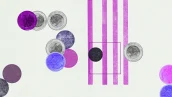 Arte abstrata: Moedas do Real coloridas, círculos e listras em tons de roxo/magenta, com quadrado, em fundo claro. imposto de renda 2026