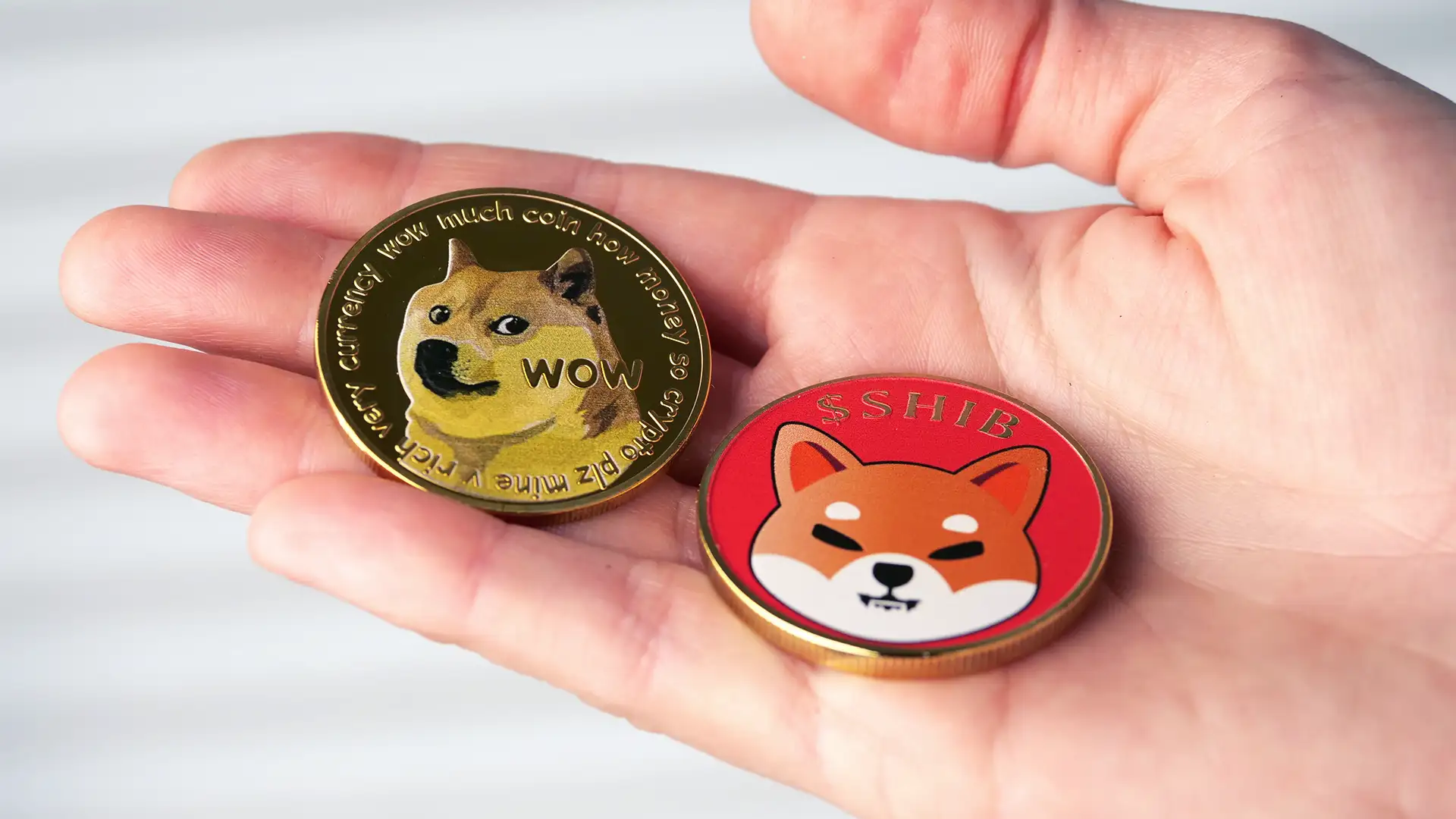 Duas moedas inspiradas em memes populares com imagens de Shiba Inu, uma com "WOW" e outra com "$SHIB".