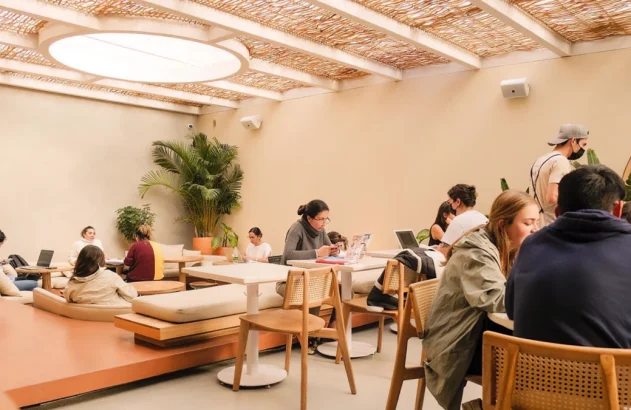 Pessoas em espaço interno claro com teto de palha, plantas e móveis modernos. Alguns usam laptops e conversam.