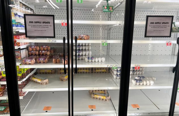 Refrigerador de ovos quase vazio em supermercado, com aviso de escassez e limite de 4 dúzias.