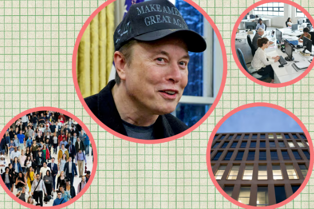 Elon Musk central com chapéu MAGA, cercado por círculos menores: escritório, multidão e prédio corporativo em grade verde.