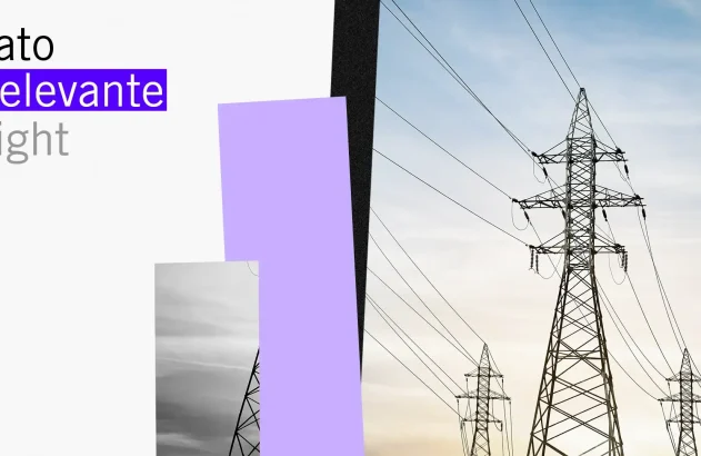 Fato Relevante Light