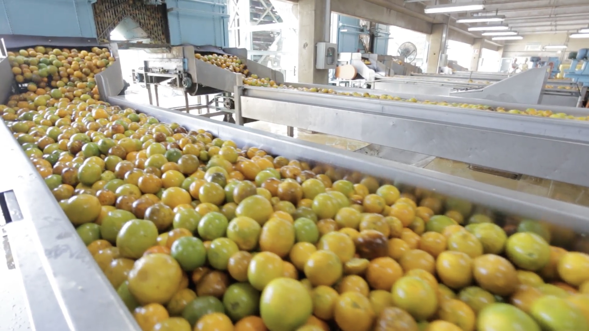 Foto de laranjas em uma máquina