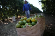 a man walking past a sack of oranges