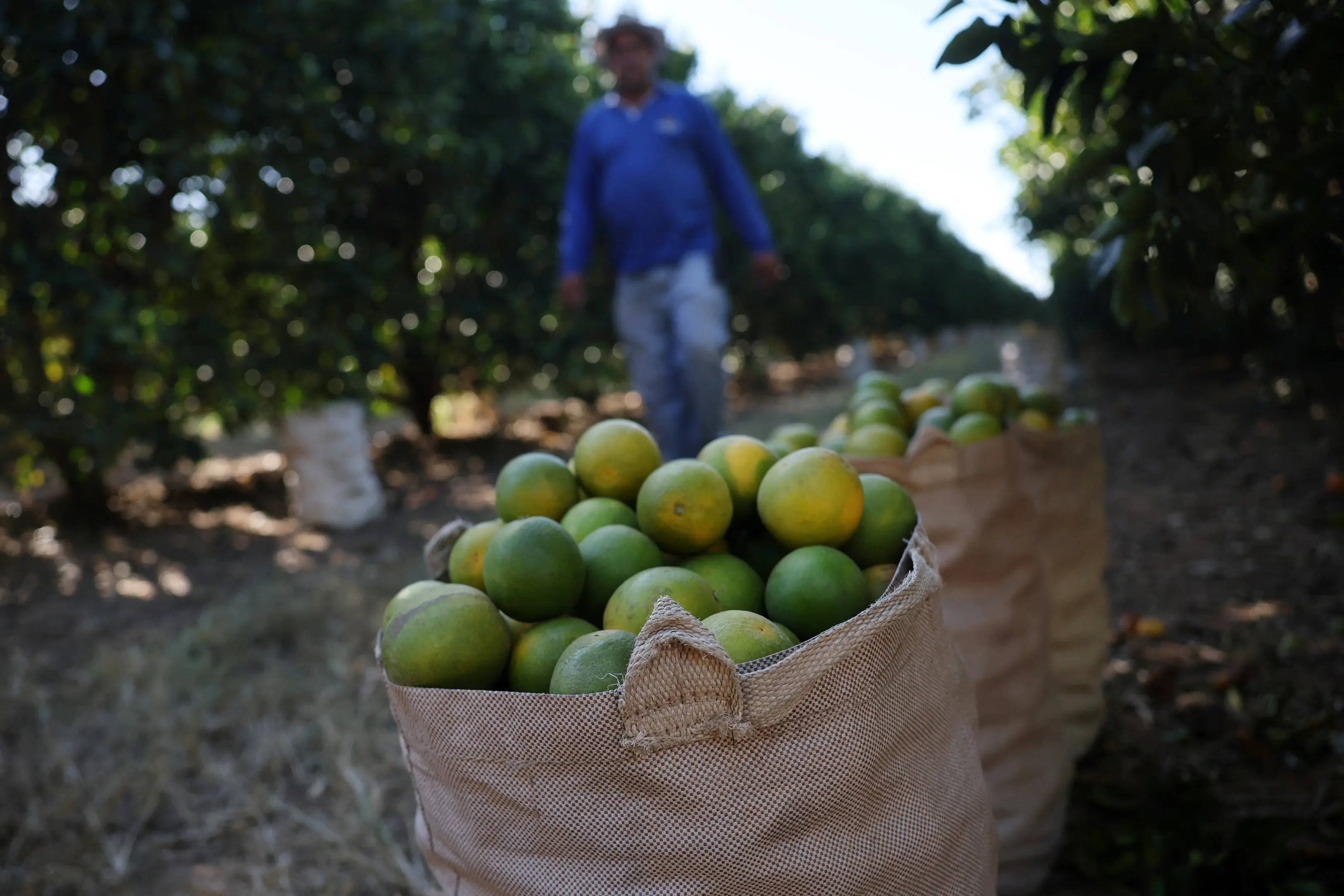 a man walking past a sack of oranges