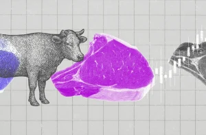Boi e pedaço de carne