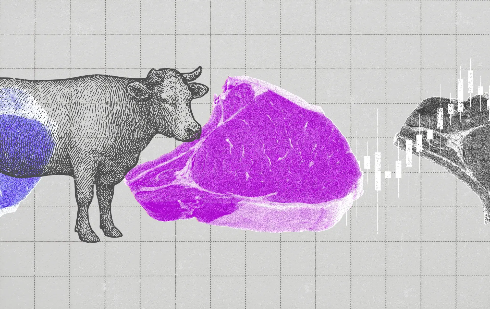 Boi e pedaço de carne