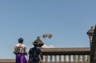 Macacos roubam celulares e óculos de turisas