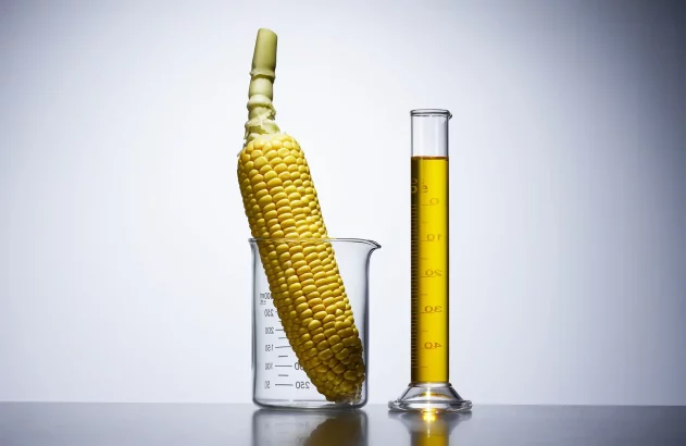 espiga de milho e etanol