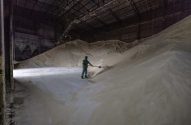 Galpão com montanha de açúcar e um trabalhador está varrendo o monte