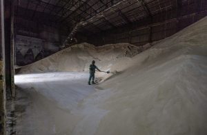Galpão com montanha de açúcar e um trabalhador está varrendo o monte