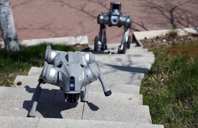 Cães-robôs movidos por inteligência artificial da China