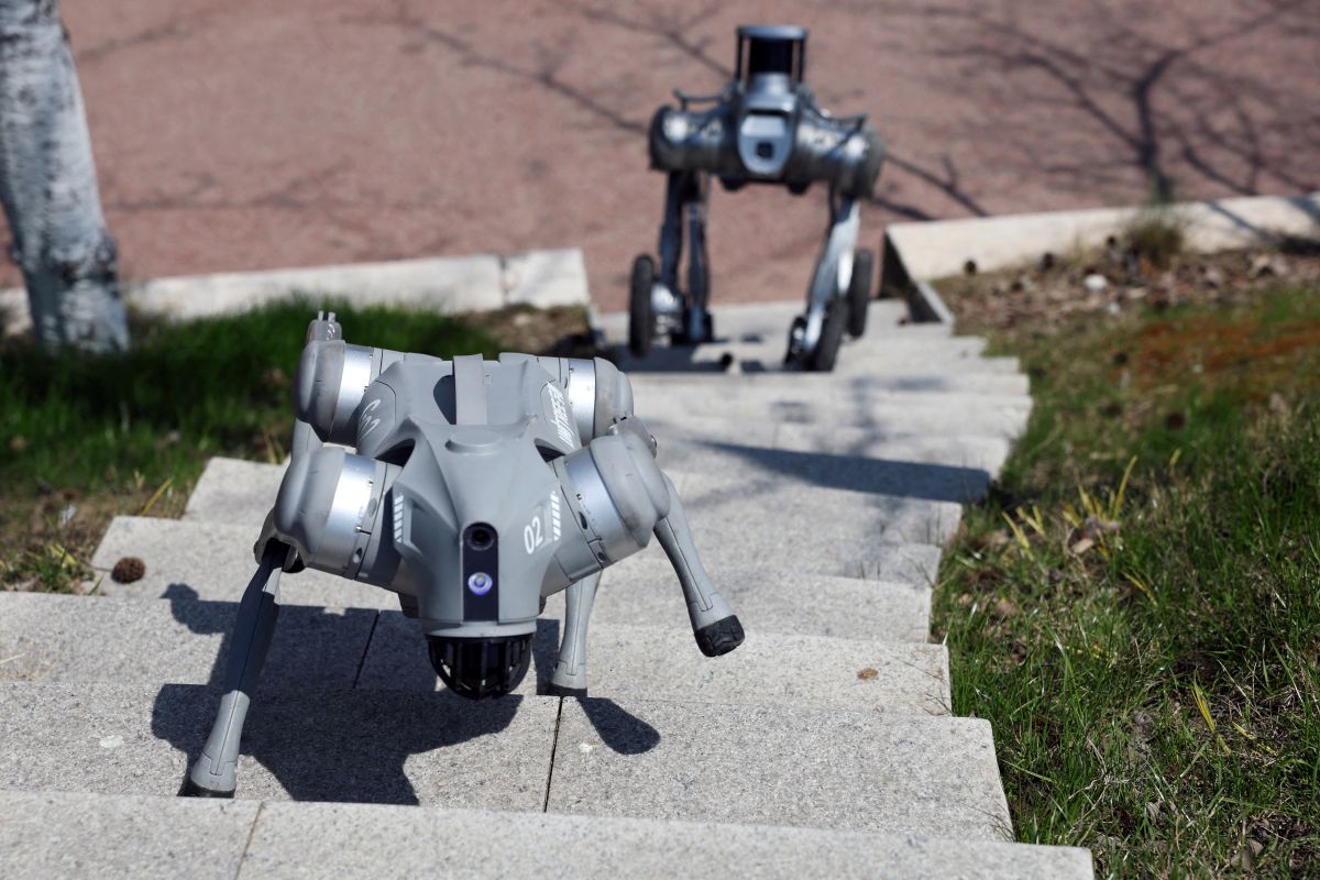 Cães-robôs movidos por inteligência artificial da China