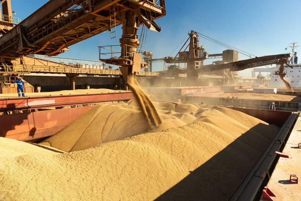 Soja sendo carregada em um navio cargueiro