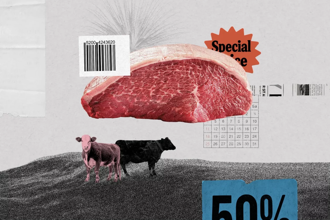 Boi e pedaço de picanha