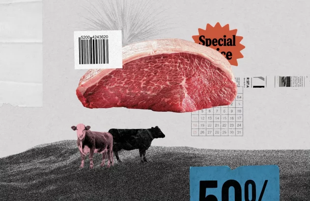 Boi e pedaço de picanha