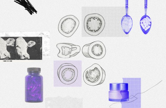 Produção de colágeno: a aposta de frigoríficos como JBS e MBRF