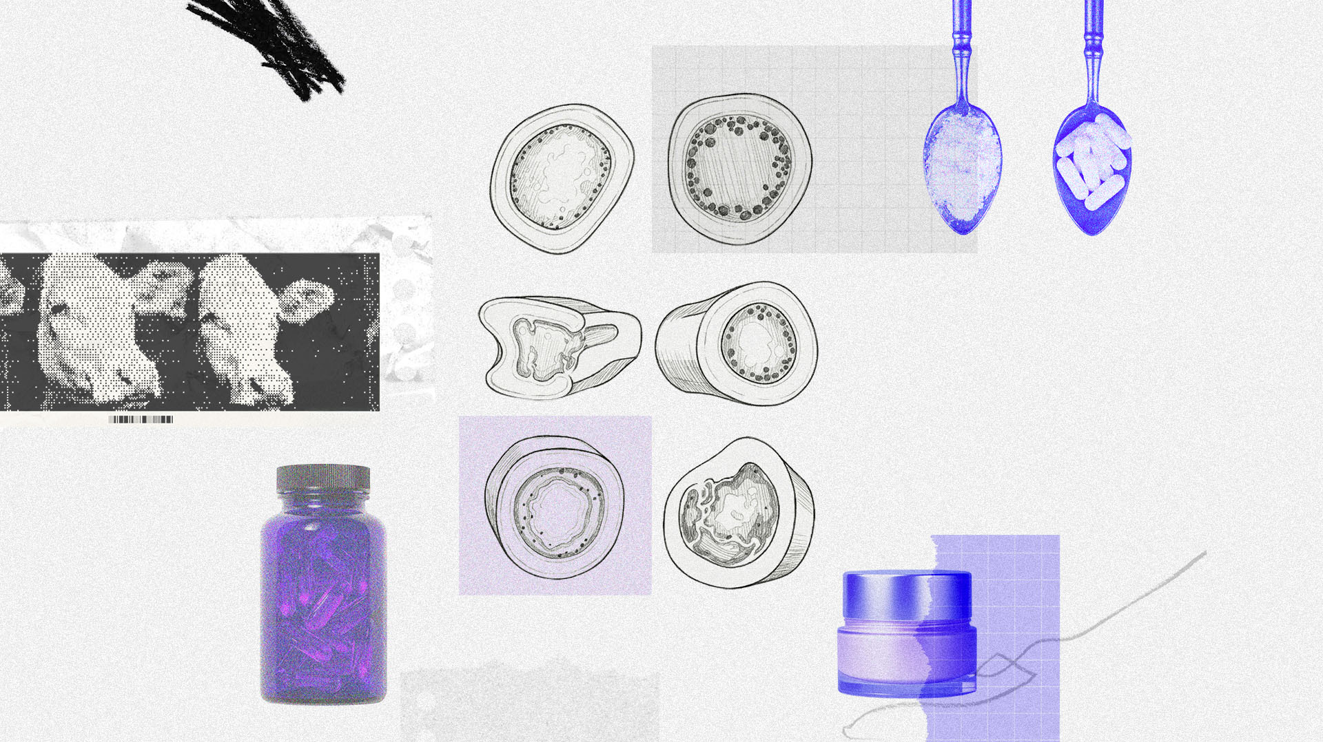 Produção de colágeno: a aposta de frigoríficos como JBS e MBRF
