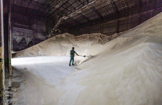 Galpão com montanha de açúcar e um trabalhador está varrendo o monte