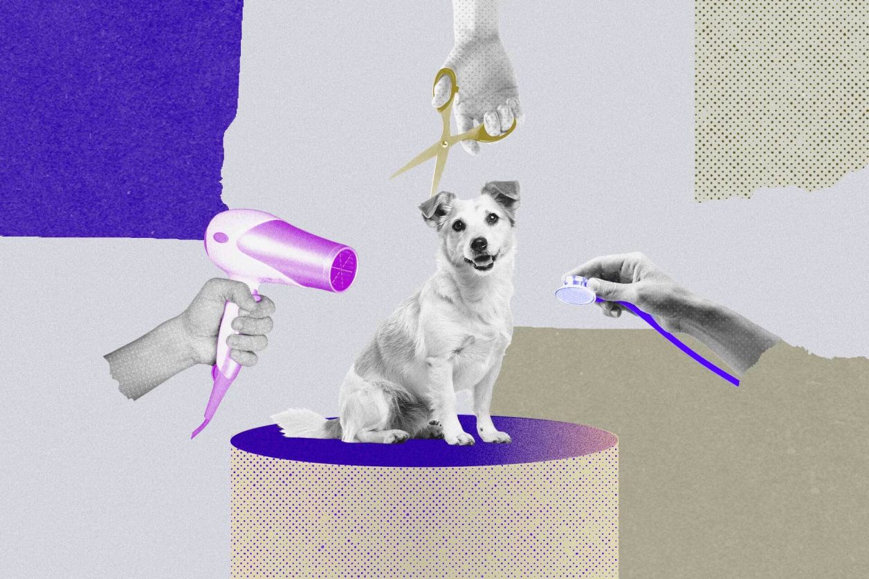 Ilustração de um cachorro