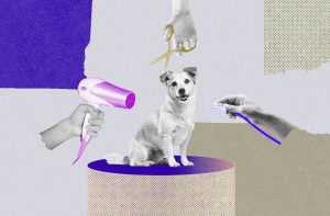 Ilustração de um cachorro
