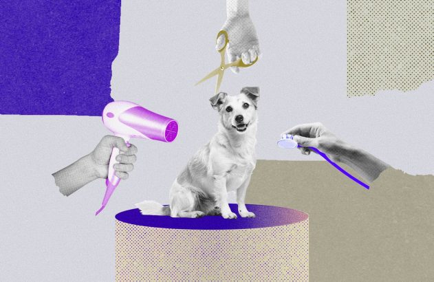 Ilustração de um cachorro