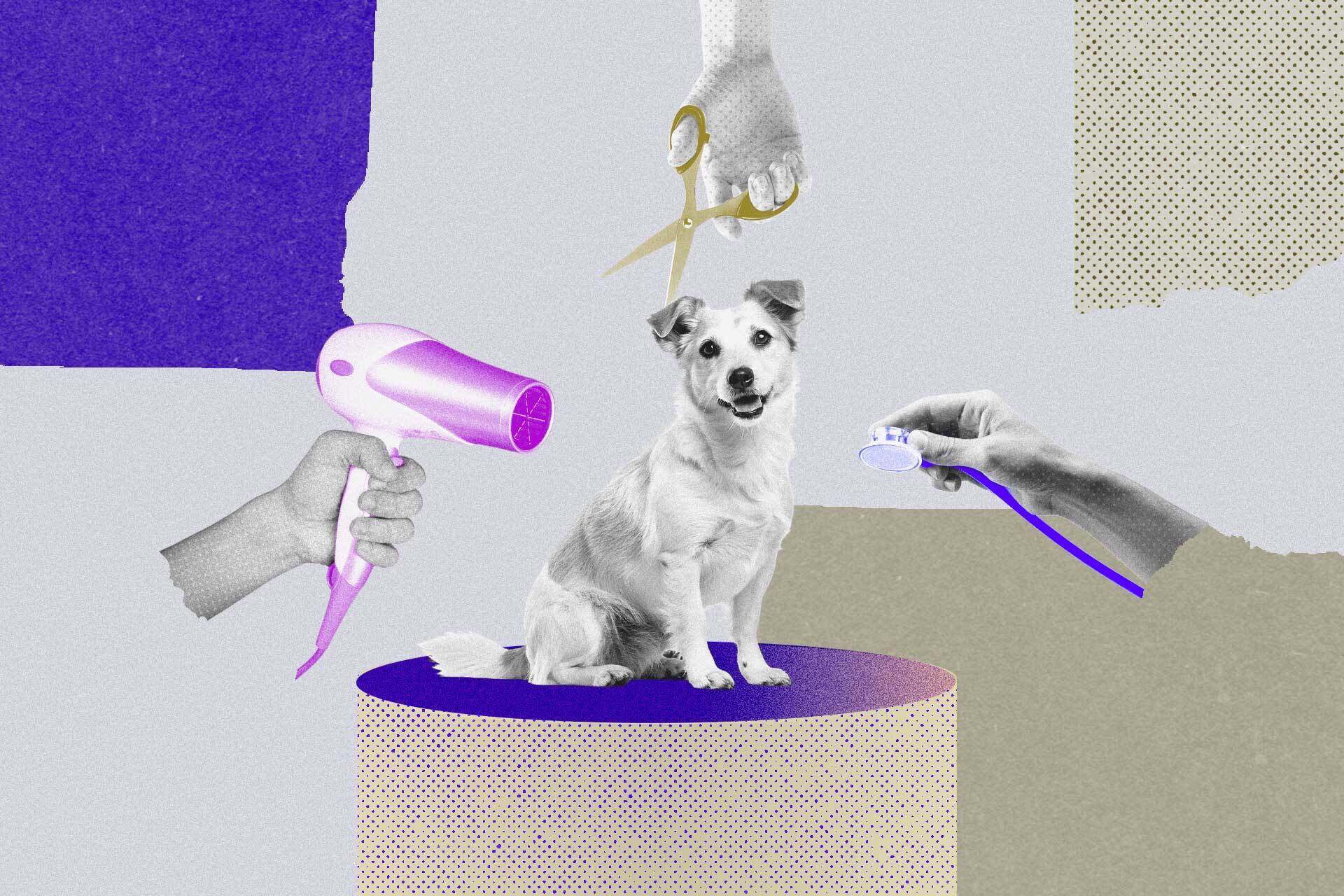 Ilustração de um cachorro