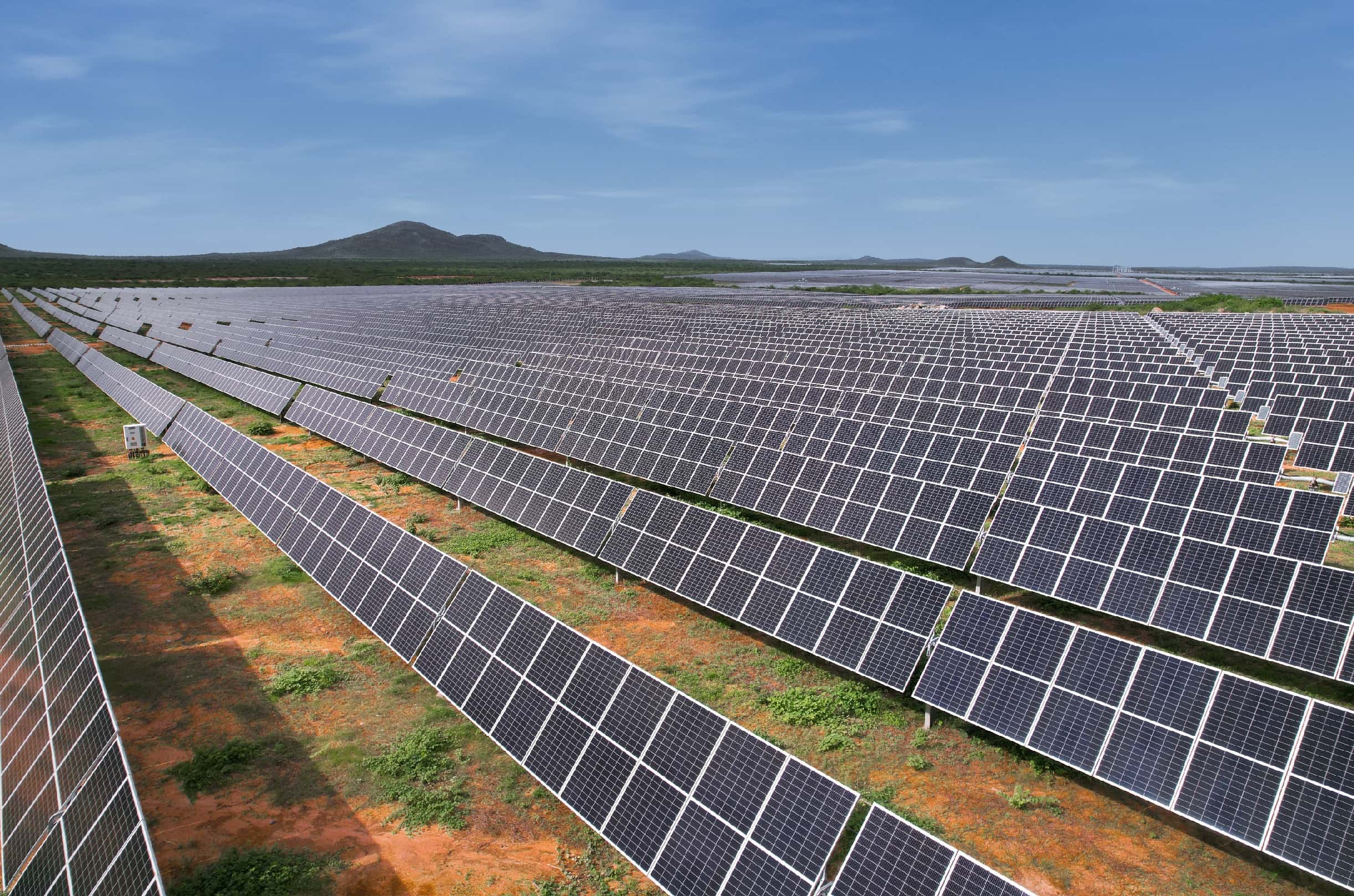 Planta solar Jacarandá, da Atlas Renewable, em Juazeiro, na Bahia (Divulgação)