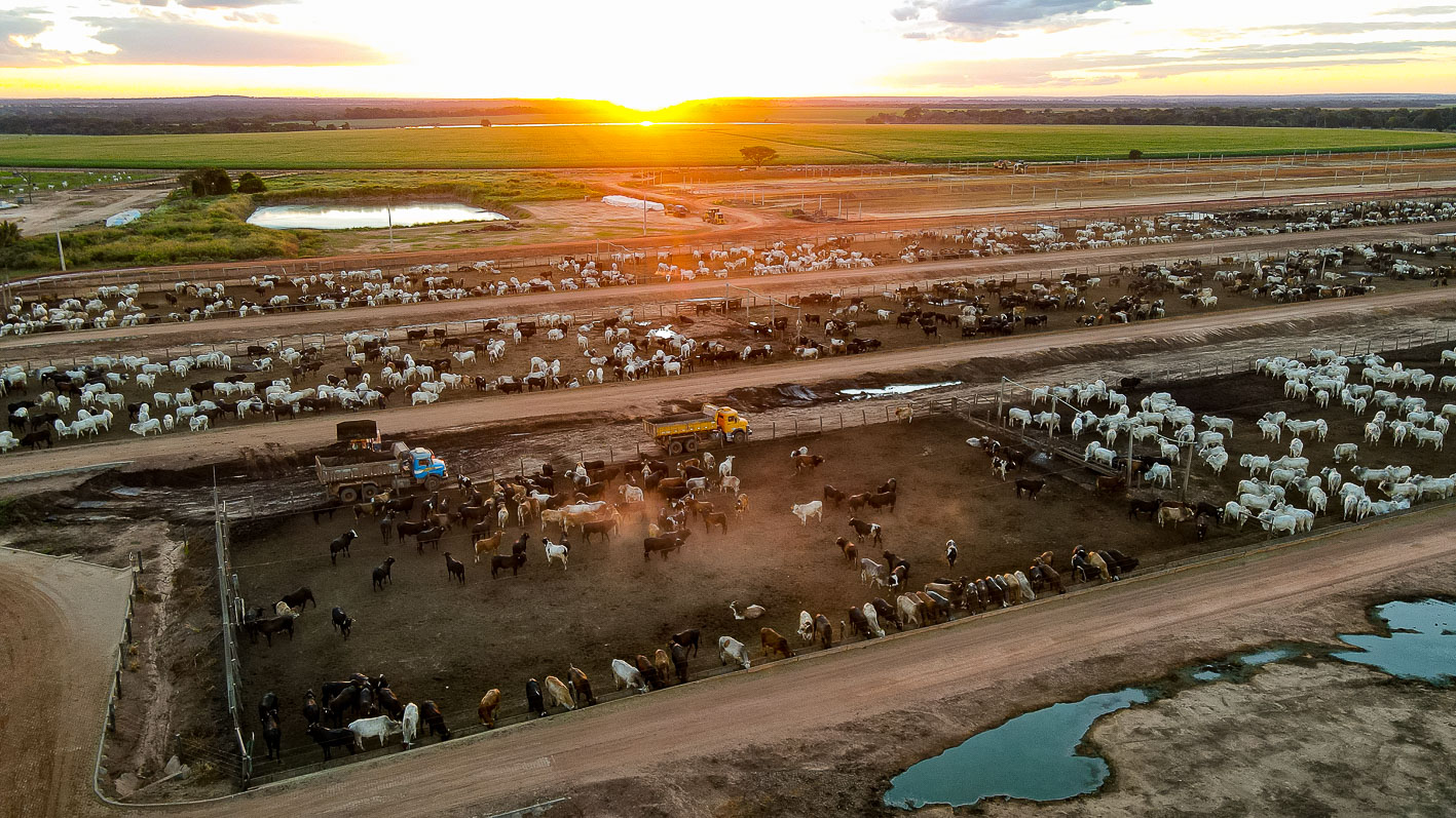 Fazenda Conforto, nova aquisição da JBJ, de Júnior Friboi