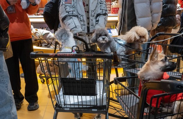 China: país quer estimular gastos com pets, brinquedos e hobbies