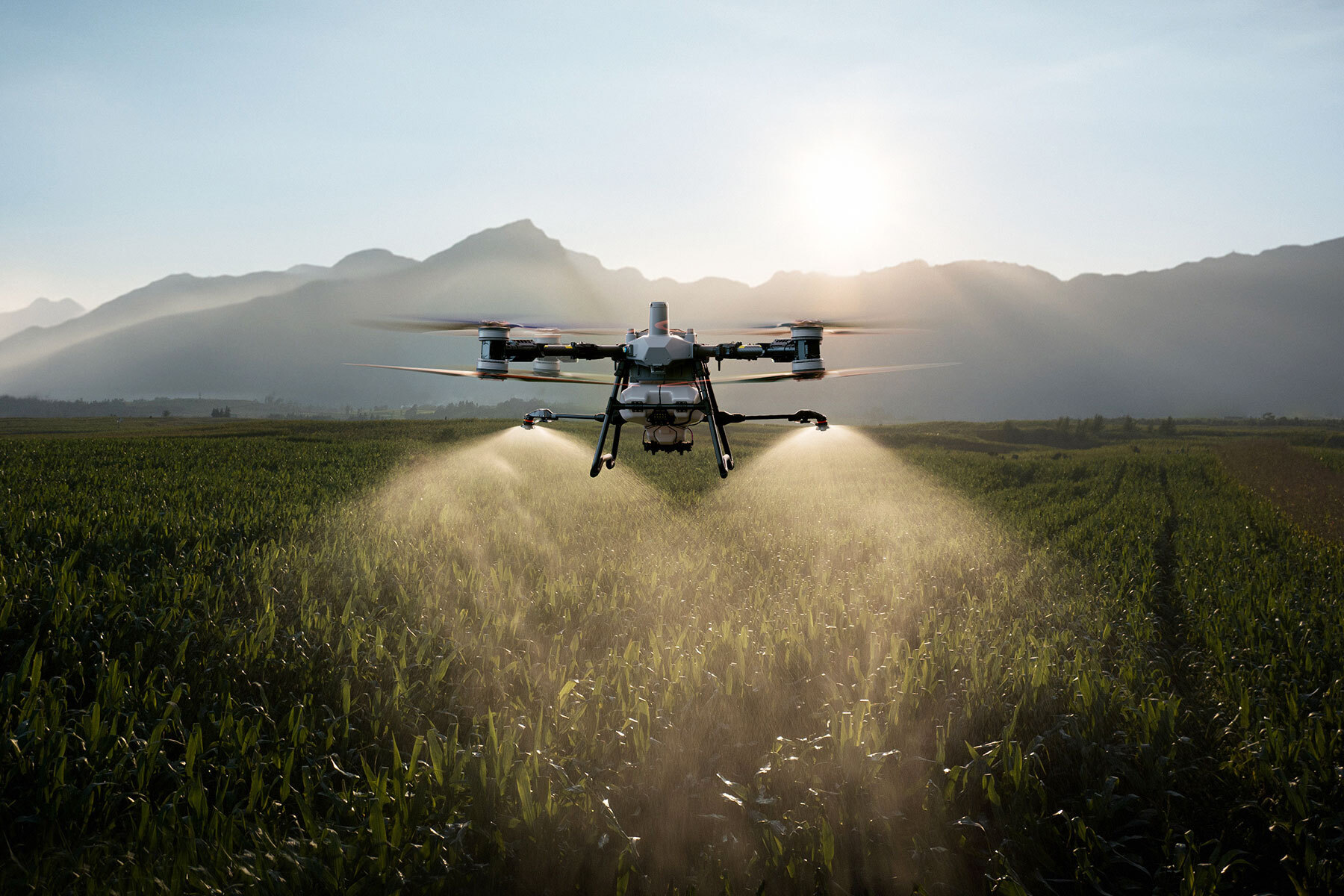 Drone pulverizando campo agrícola