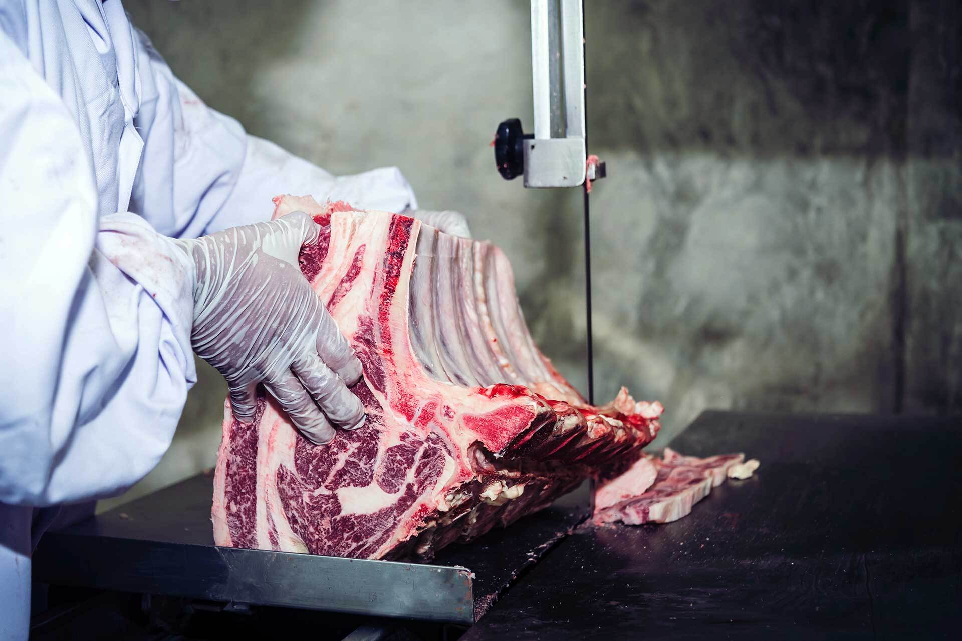 carne, colágeno, frigoríficos